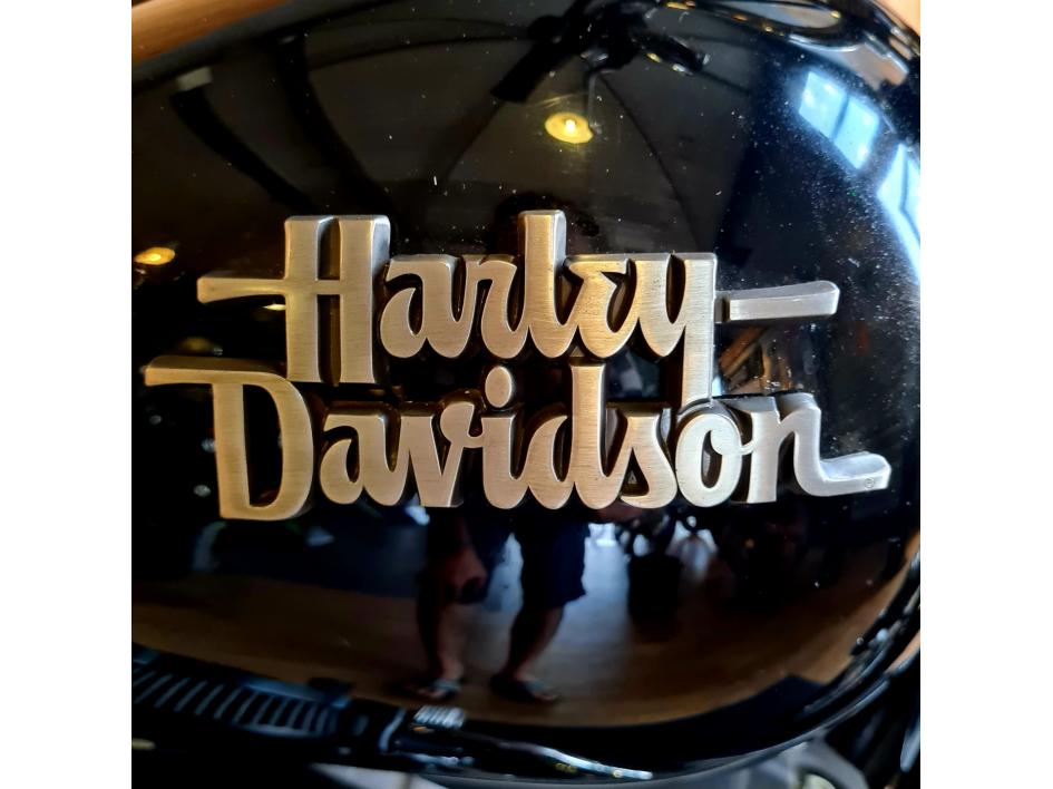 HARLEY-DAVIDSON DYNA STREET BOB 1584