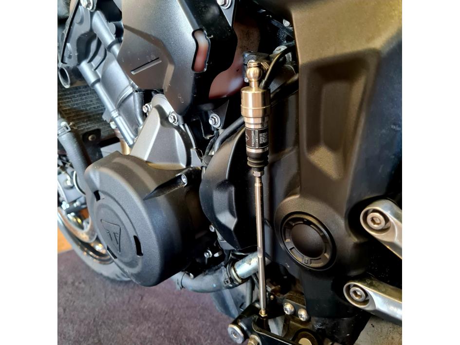 TRIUMPH TRIDENT 660 (A2)