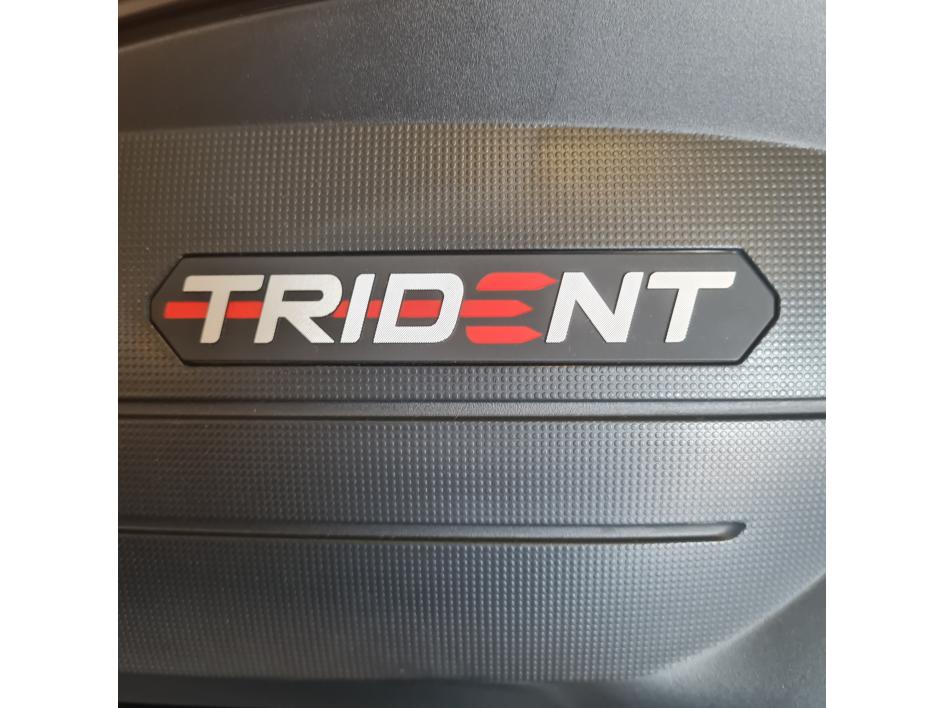 TRIUMPH TRIDENT 660 (A2)