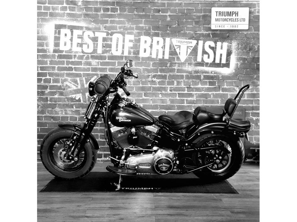 HARLEY-DAVIDSON SOFTAIL CROSS BONES 1584