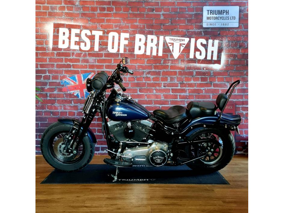 HARLEY-DAVIDSON SOFTAIL CROSS BONES 1584