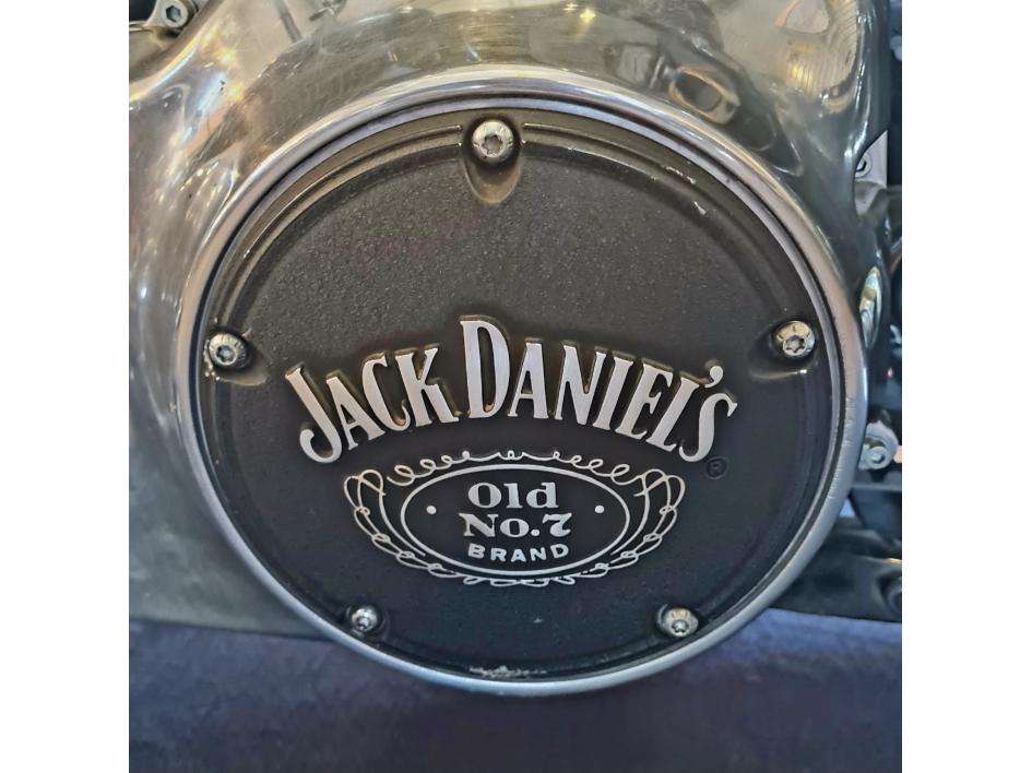 HARLEY-DAVIDSON SOFTAIL CROSS BONES 1584