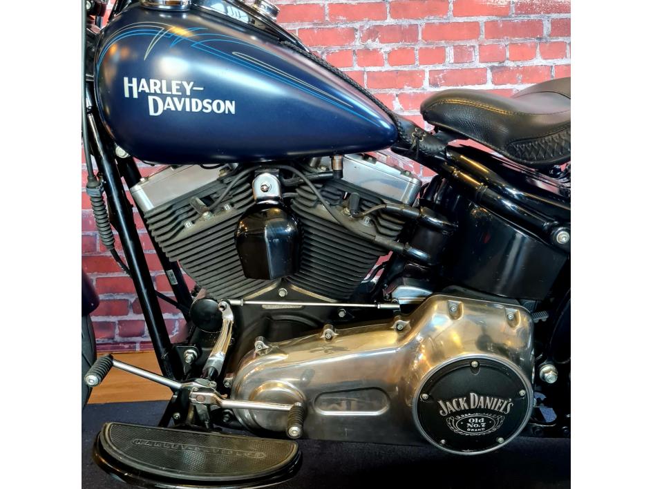 HARLEY-DAVIDSON SOFTAIL CROSS BONES 1584