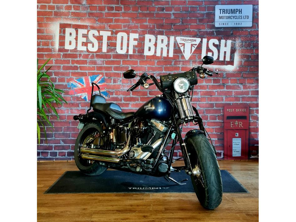 HARLEY-DAVIDSON SOFTAIL CROSS BONES 1584