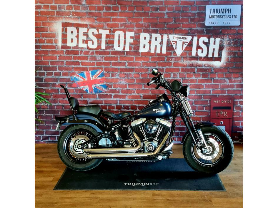 HARLEY-DAVIDSON SOFTAIL CROSS BONES 1584