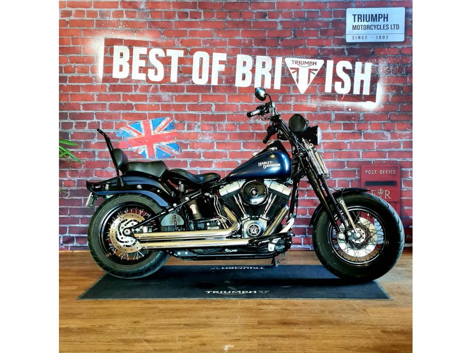HARLEY-DAVIDSON SOFTAIL CROSS BONES 1584