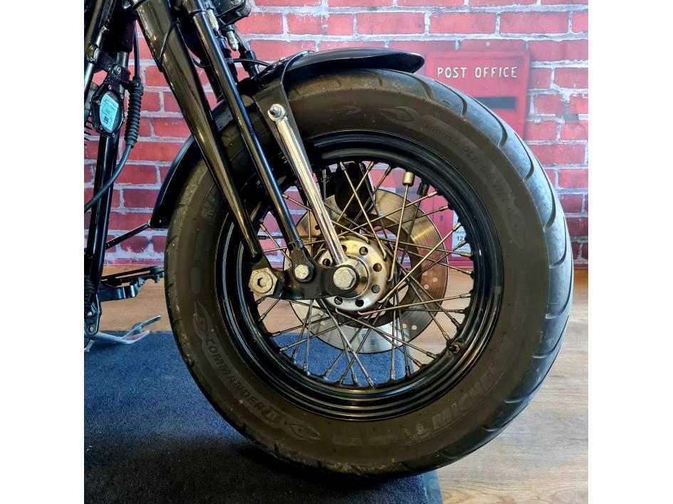 HARLEY-DAVIDSON SOFTAIL CROSS BONES 1584
