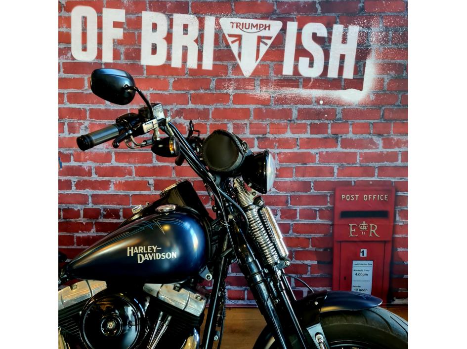 HARLEY-DAVIDSON SOFTAIL CROSS BONES 1584