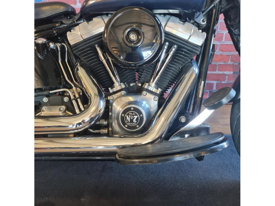 HARLEY-DAVIDSON SOFTAIL CROSS BONES 1584
