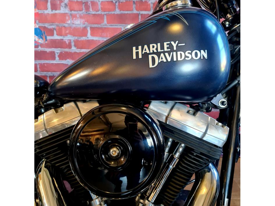 HARLEY-DAVIDSON SOFTAIL CROSS BONES 1584