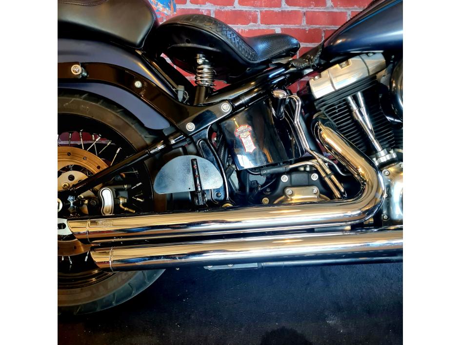 HARLEY-DAVIDSON SOFTAIL CROSS BONES 1584