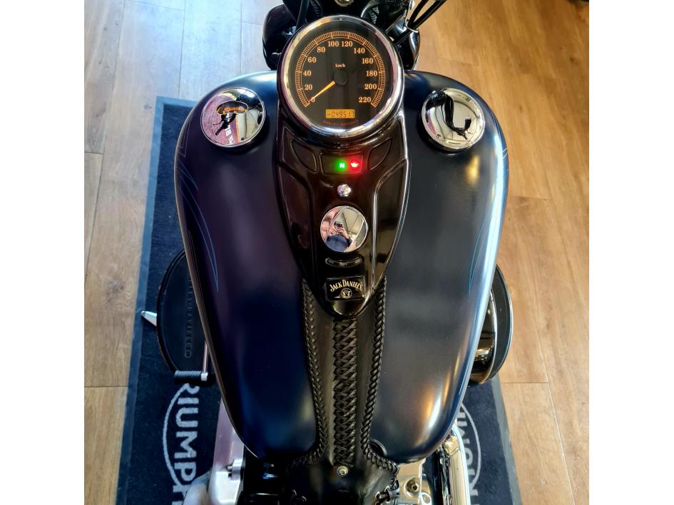 HARLEY-DAVIDSON SOFTAIL CROSS BONES 1584