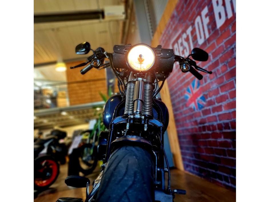 HARLEY-DAVIDSON SOFTAIL CROSS BONES 1584
