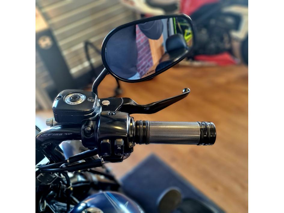HARLEY-DAVIDSON SOFTAIL CROSS BONES 1584