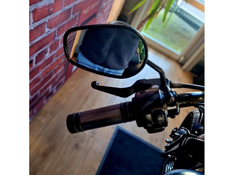HARLEY-DAVIDSON SOFTAIL CROSS BONES 1584