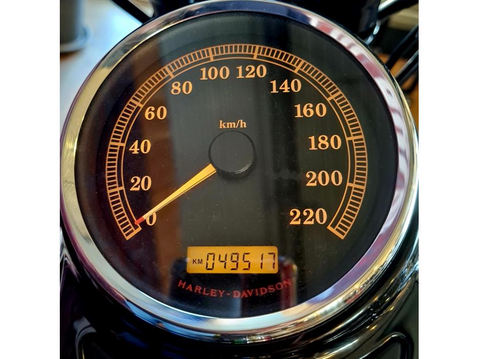 HARLEY-DAVIDSON SOFTAIL CROSS BONES 1584