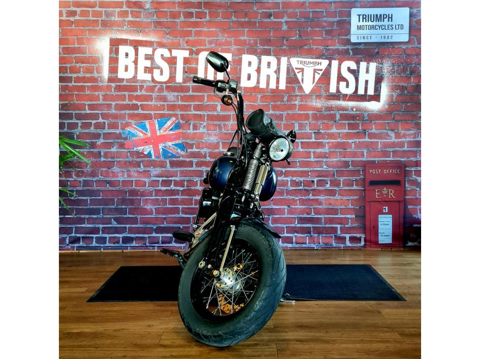 HARLEY-DAVIDSON SOFTAIL CROSS BONES 1584