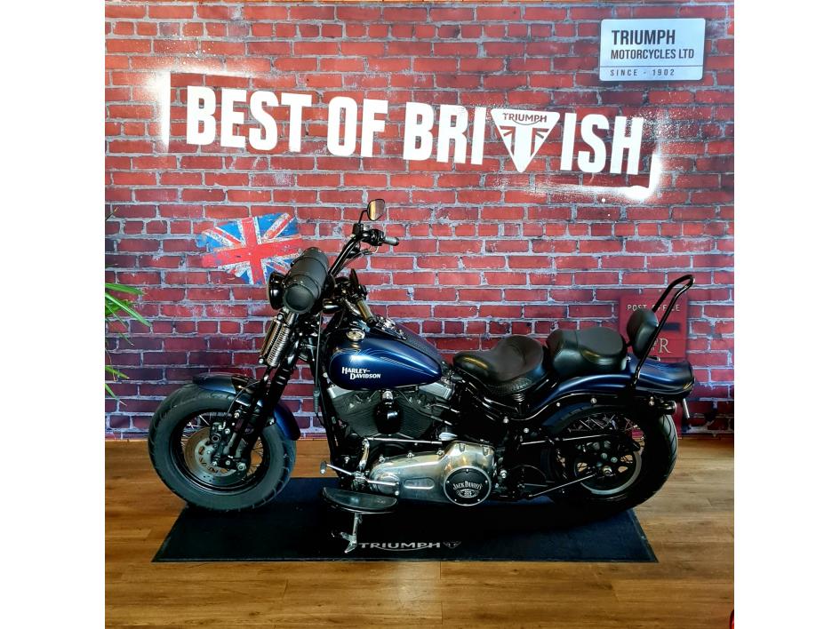 HARLEY-DAVIDSON SOFTAIL CROSS BONES 1584