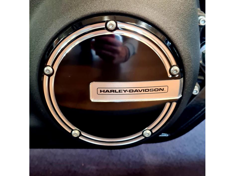 HARLEY-DAVIDSON SOFTAIL STREET BOB 1745